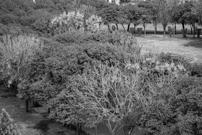 上海植鹏IT服务团队系统开发项目交付流程与质量保障解析